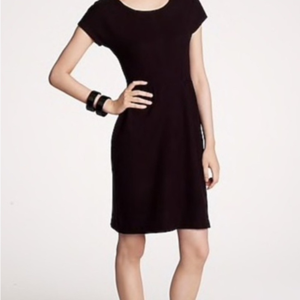 NWT J.Crew Winnie sheath Dress